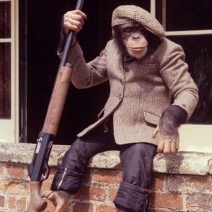 Meet your Posher, Gabriel